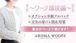 110~ȏ̎\IIy[Nҁz̃TlC